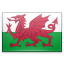 Welsh flag